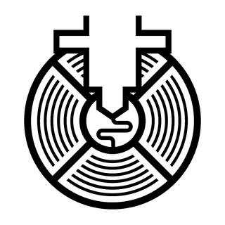 PrintYourVision.ch Logo